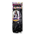 Vivitress French Curl Braid 22"